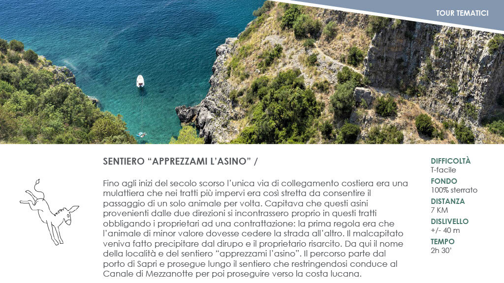 9ea455da-b81c-463c-83d9-44933ffddf11