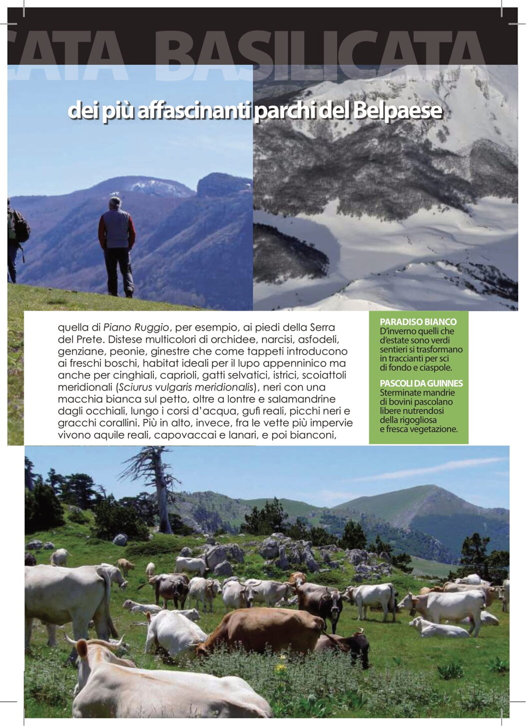 fc5c43b9-bcdc-48df-abbb-65d7e13ed33a