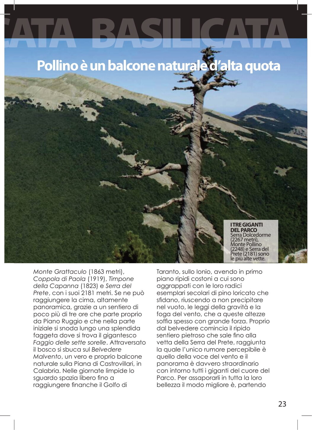 15b7280e-76c5-441f-84de-39ef9d2263ad