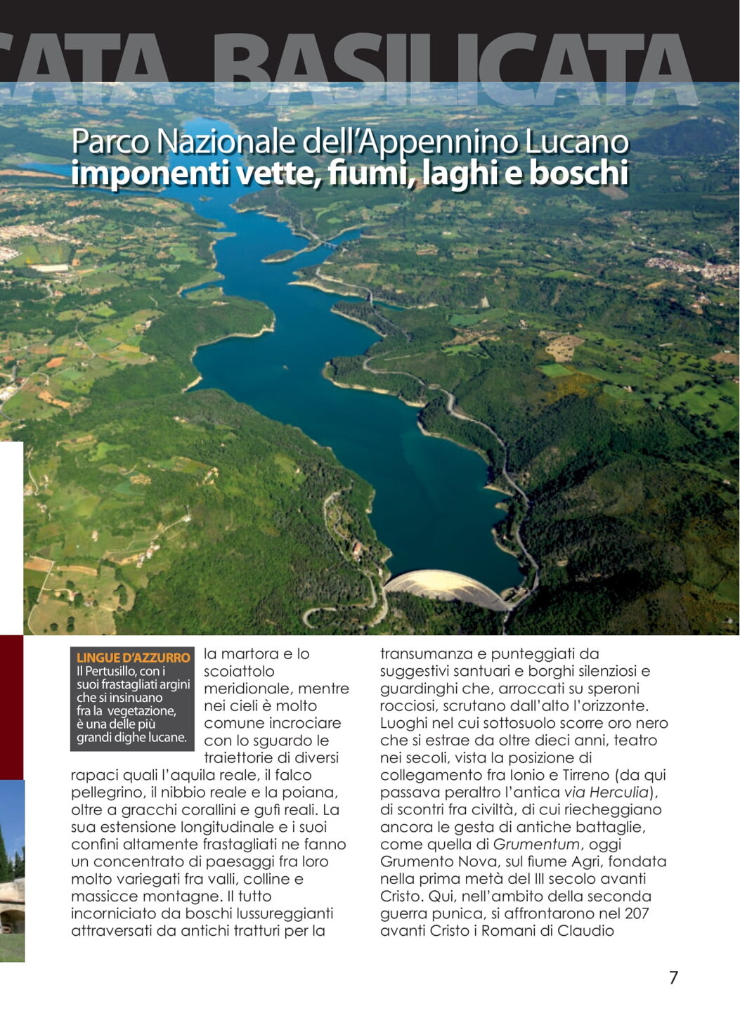 04cfc3da-f144-4dc4-87cd-e75c51ca1d23