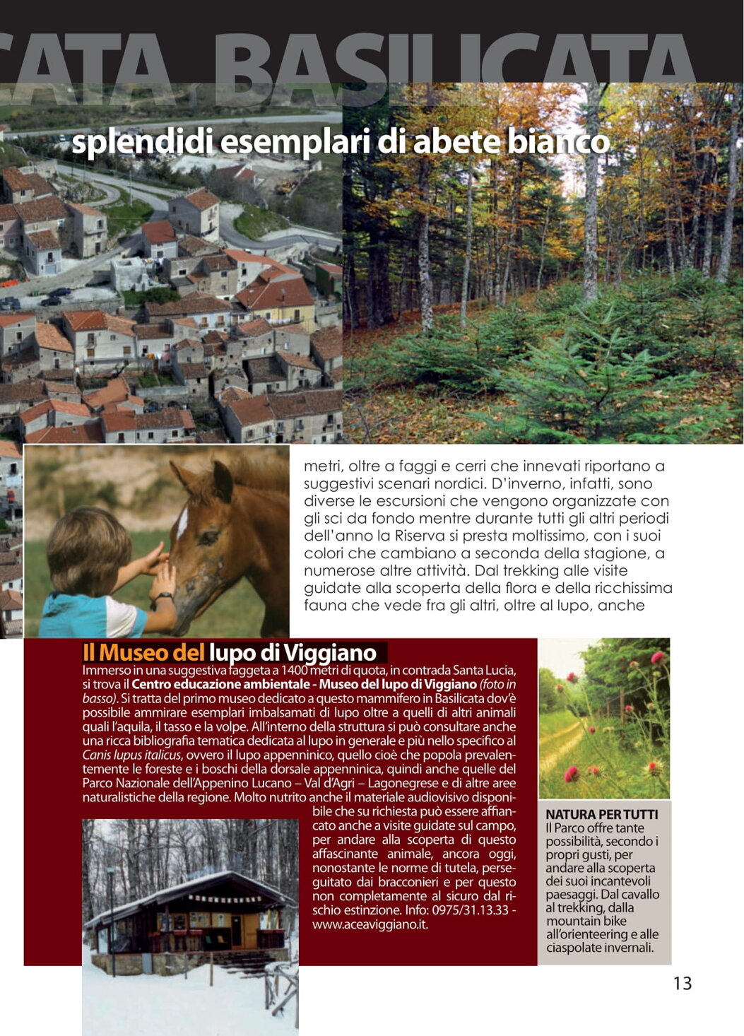 473d5139-44fe-484b-8e61-fd4fb23d407e