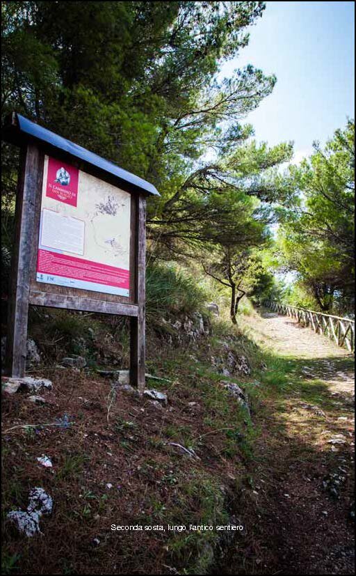 faa3094d-80a8-4cea-8720-0f5114fbe4bf