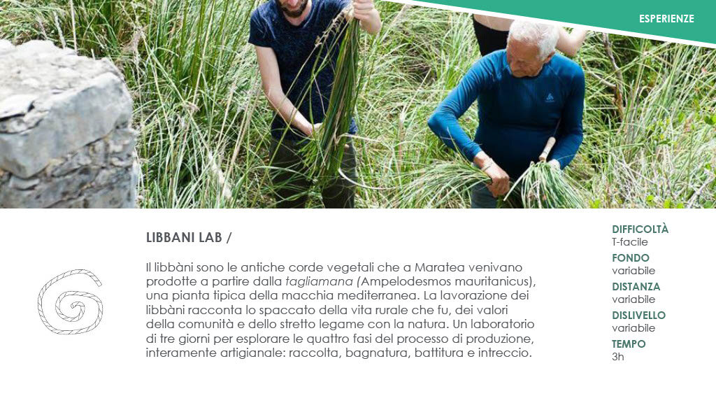 c6db7090-b4c2-41a8-8be6-b5ffd96855b7