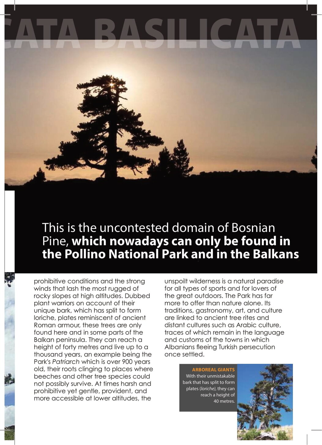 d366b976-2fa4-49af-8ea9-3ae90aa20998