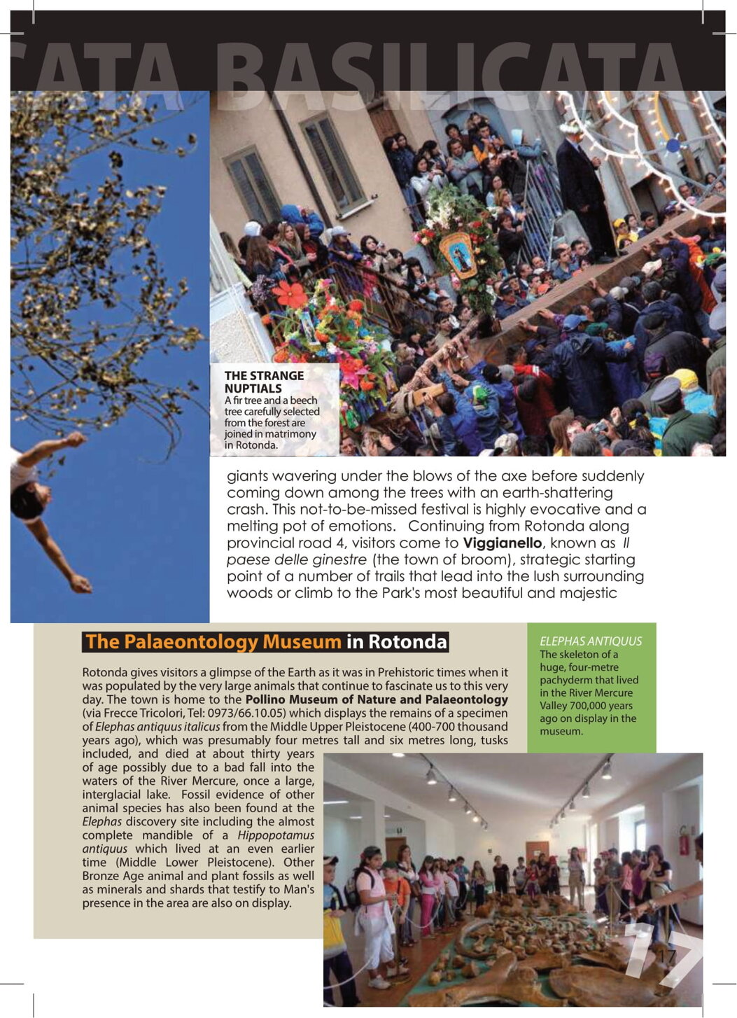 4dead982-b3c7-43d5-83a1-c3f455e4bc04