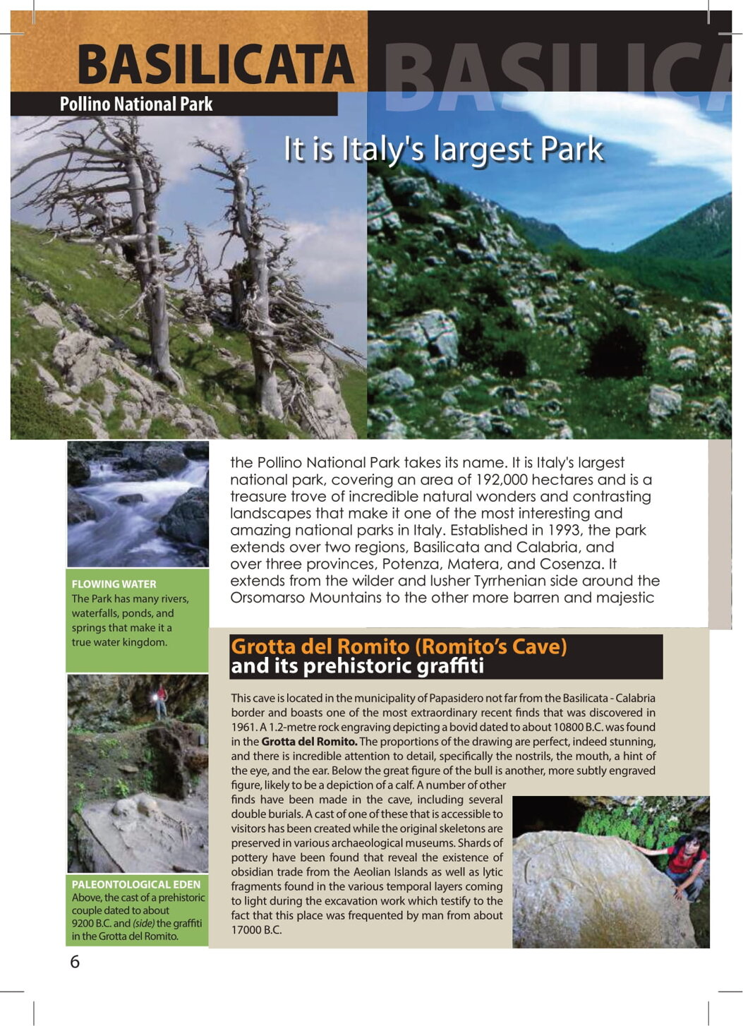 ff9e9cc3-a137-403c-af60-e68fcffd8a30