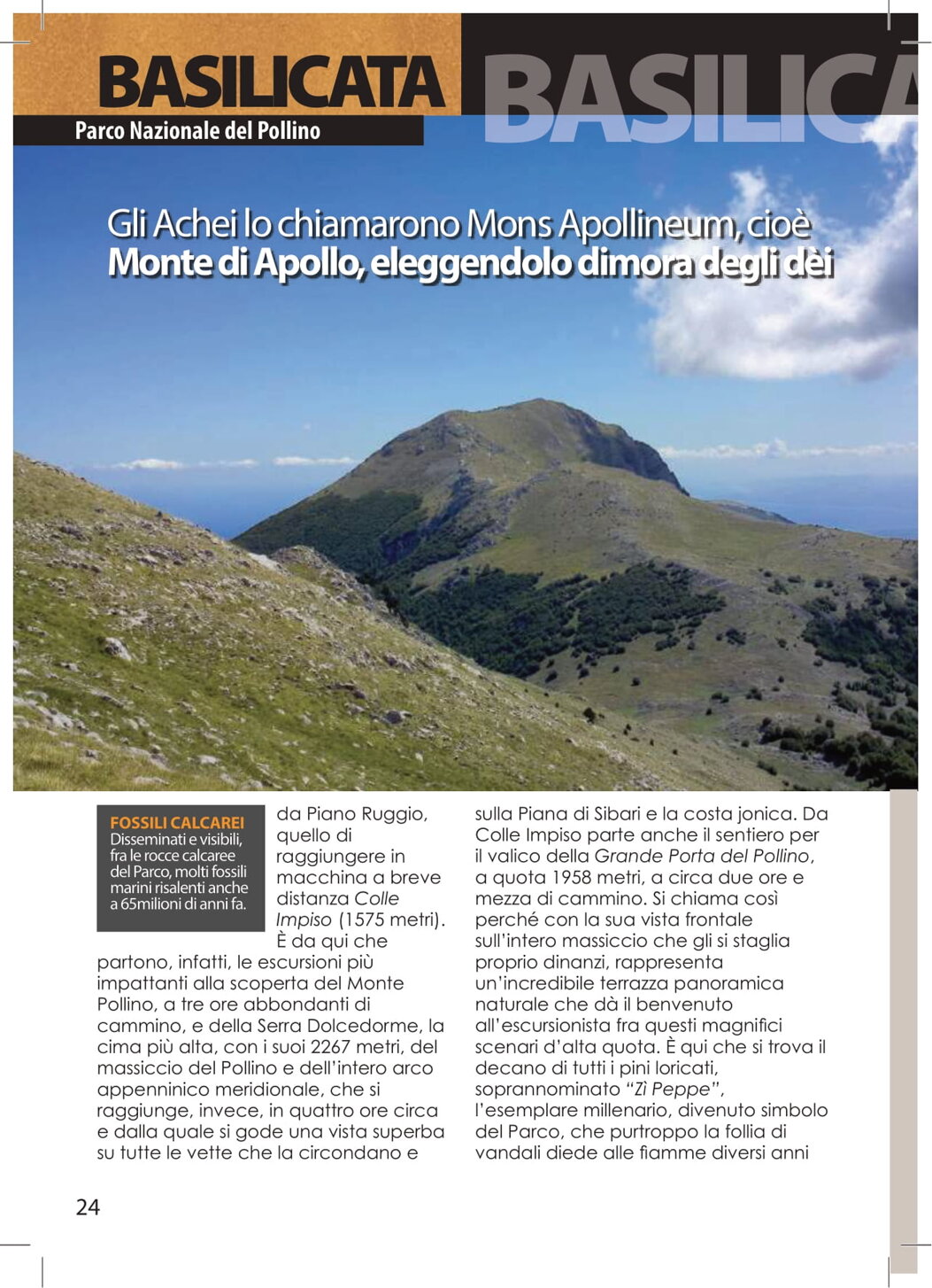 4e983f5e-a228-420f-855c-a604bd40bb3d