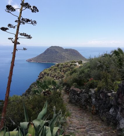 img_20180501_124952-effects.jpeg img_20180501_124952-effects.jpeg