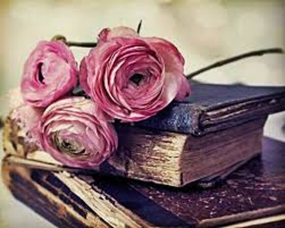 b6822817-9962-4b76-b58f-1125bd96221f.jpeg b6822817-9962-4b76-b58f-1125bd96221f.jpeg