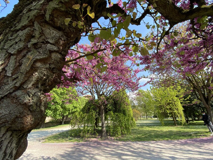 cd1d7bd5-2116-4089-9cfb-aea3a5c09764.jpeg cd1d7bd5-2116-4089-9cfb-aea3a5c09764.jpeg