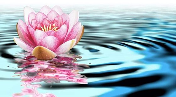 a368e53d-6721-43cc-a8e3-72e349287796.jpeg a368e53d-6721-43cc-a8e3-72e349287796.jpeg