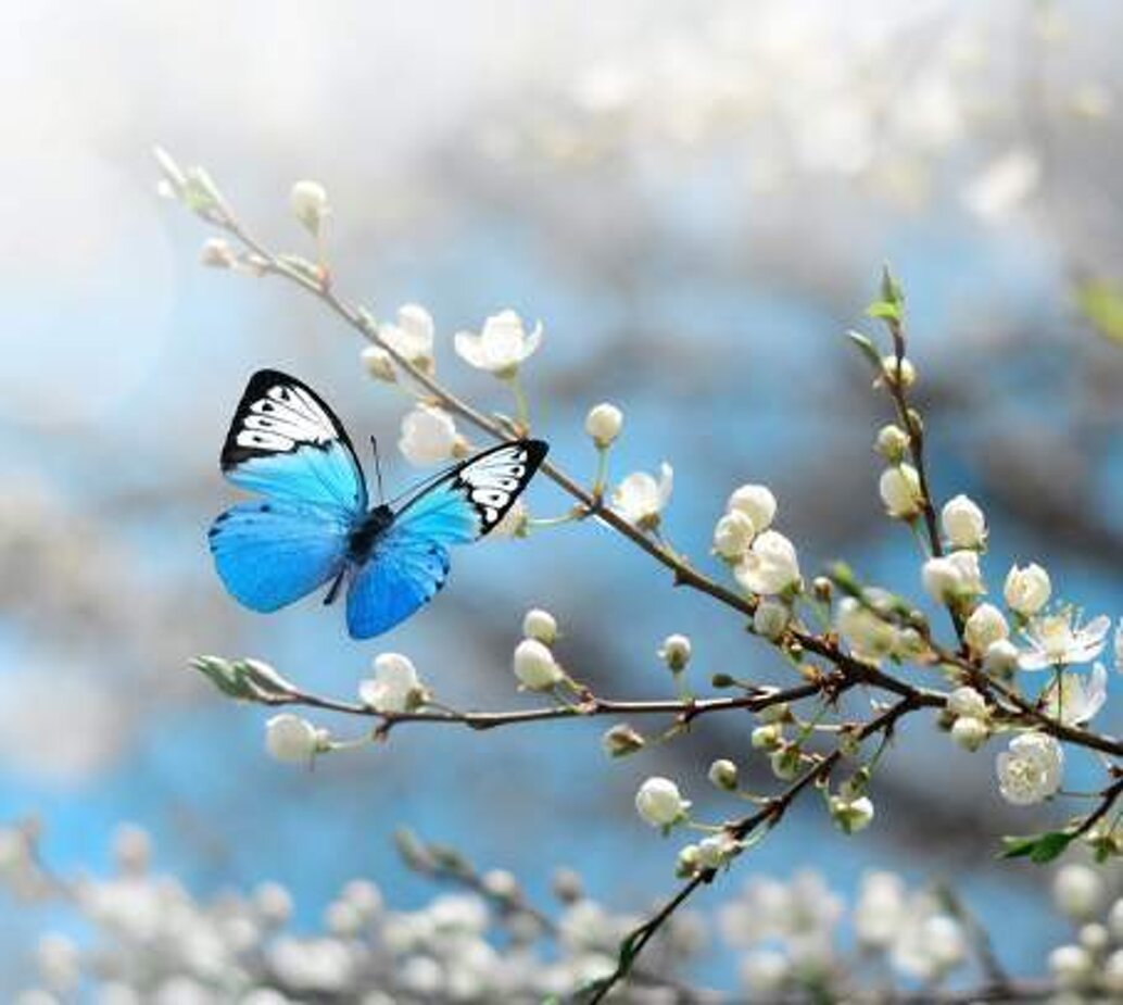 dd98e294-cd64-4ef5-8c32-01f4bc8451d9.jpeg dd98e294-cd64-4ef5-8c32-01f4bc8451d9.jpeg