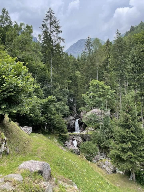 74608533-d67c-4dac-bc63-7ea93dcb1c41