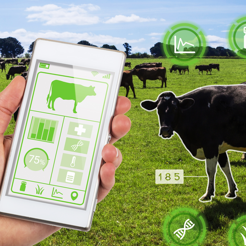 05117733-37fb-4c4c-9320-95828554e570