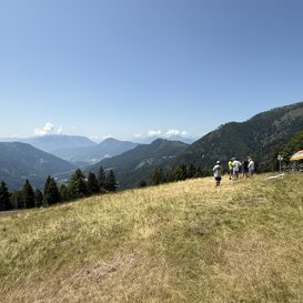 Gavs a Malga Pez Giugno 2025