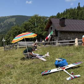 Gavs a Malga Pez Giugno 2025