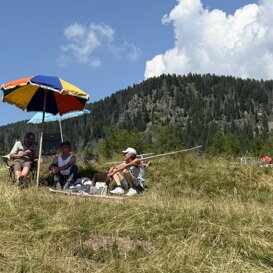 Gavs a Malga Pez Giugno 2025