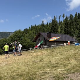 Gavs a Malga Pez Giugno 2025