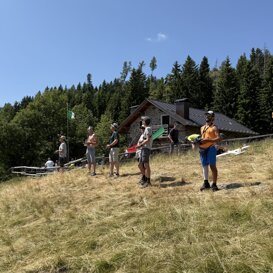 Gavs a Malga Pez Giugno 2025