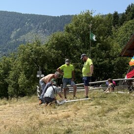 Gavs a Malga Pez Giugno 2025