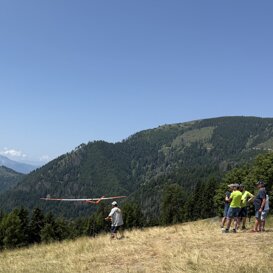 Gavs a Malga Pez Giugno 2025