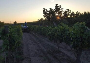 484831a2-2da8-4e0b-8ea3-389e5fdf38bd