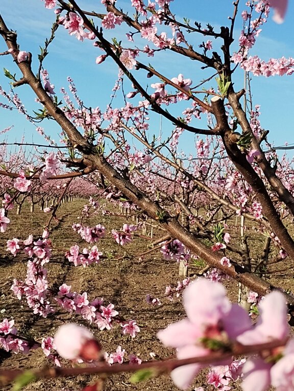 eccf2979-cb2c-4ef0-9955-f9b5921fc0ce eccf2979-cb2c-4ef0-9955-f9b5921fc0ce