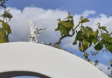 fd341f7a-2a24-4386-beb1-8d9c782a2a43