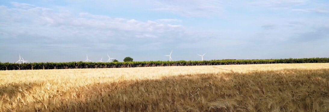 b1c4cc06-74b2-4f2a-a339-edc1b76c5f09