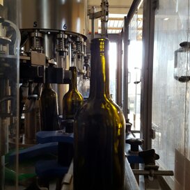 casa vinicola sanpaolo imbottigliamento