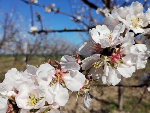 fd341f7a-2a24-4386-beb1-8d9c782a2a43 fd341f7a-2a24-4386-beb1-8d9c782a2a43