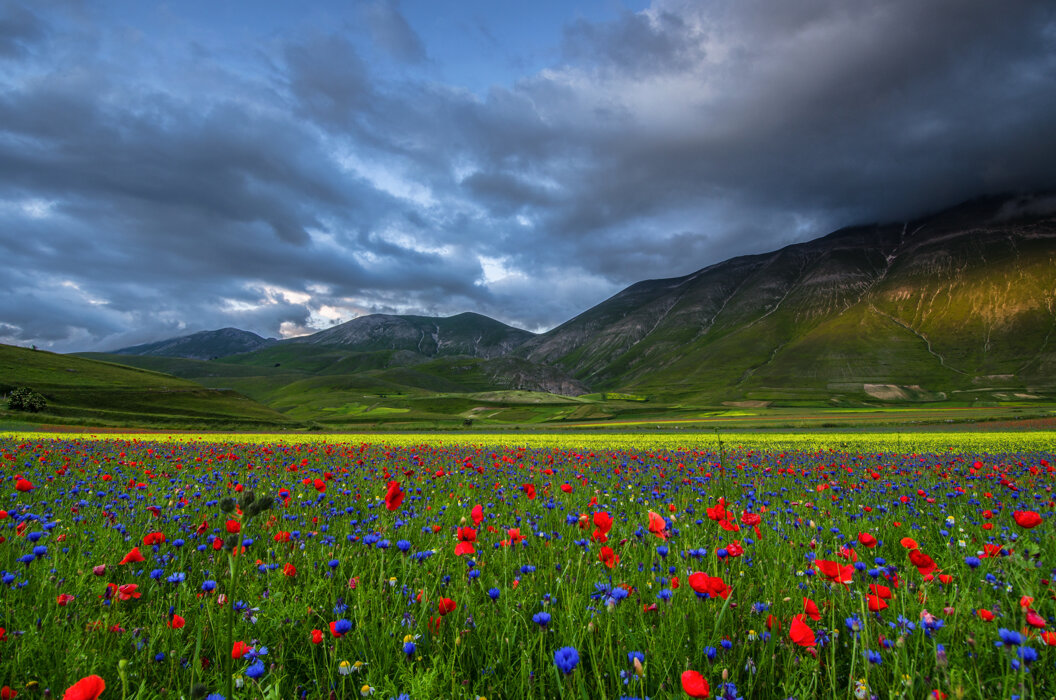 82a12352-e82d-4b26-9a46-6961a24f3a52