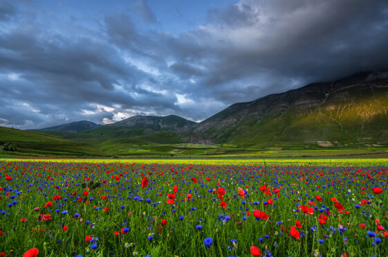 82a12352-e82d-4b26-9a46-6961a24f3a52