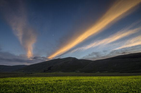 939d611b-4ba6-4eb8-a880-f59da8a79d9e