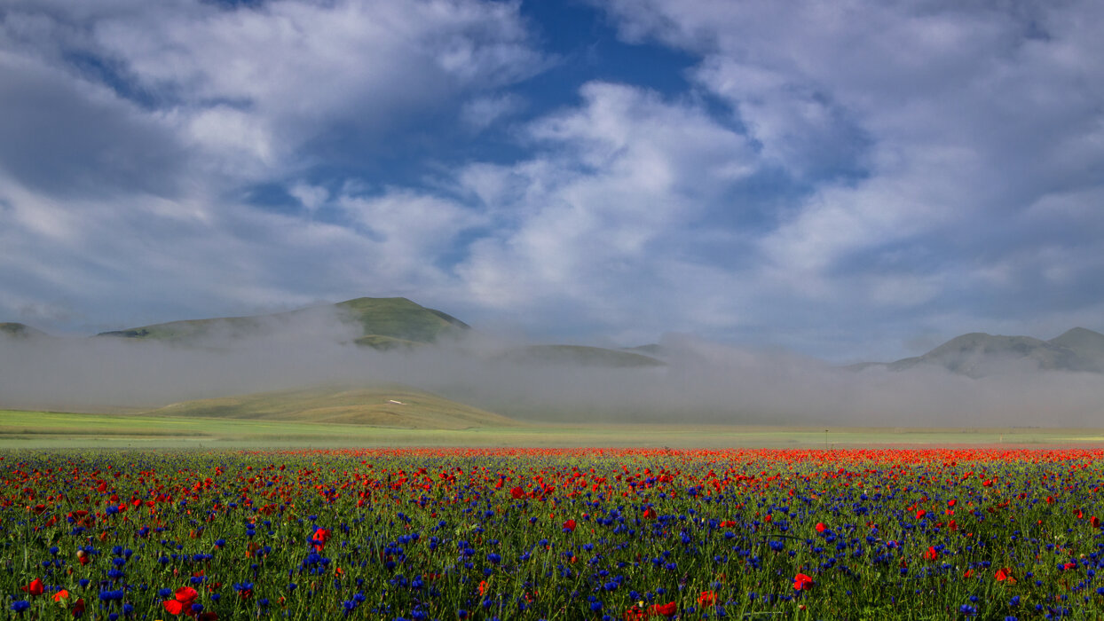 992846f8-2df5-41a2-b130-b445b1e89ddb