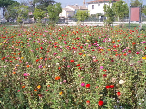 6796daca-b053-4aba-a5d1-feef3dfce1a0