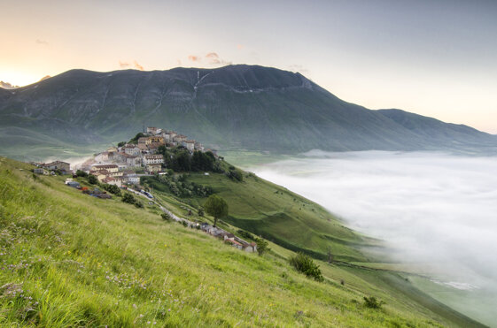 fc2fad50-5bed-420a-bb50-5eb3d34c1c4b