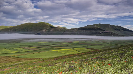 f4827f39-0d08-43a9-be12-e7b8b0de330f