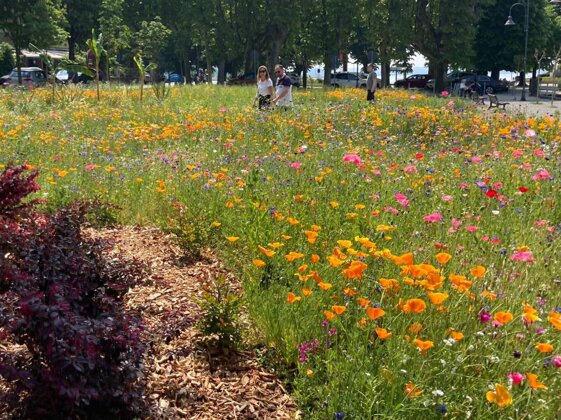 d1403e78-cd0a-400c-93c6-a48fea7483b3