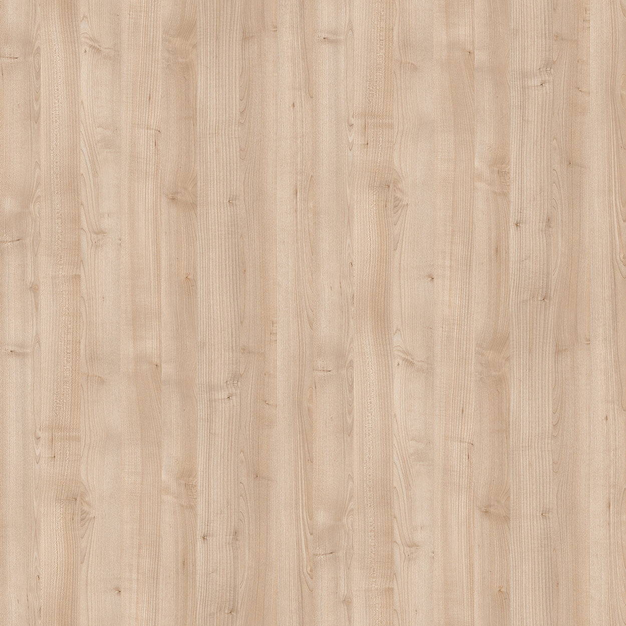 7_norway-maple-wood-pbr-tezture-seamless.jpeg