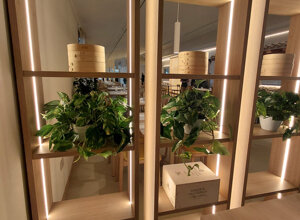 ristorante_8%20copia