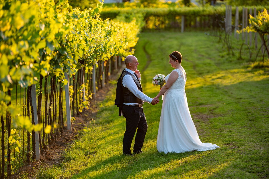 f9abe991-a1de-4ef9-9fa3-c3c913179053