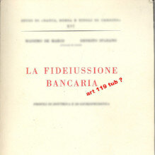 Spetta anche al garante il diritto alla documentazione bancaria?