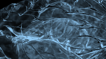 48c785c8-84c1-4b9d-b1d9-e3ace8091264