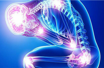 8445bddd-7c01-4b02-9278-bc2637763e56