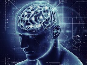 1a9ccf7f-55f1-44d6-8e03-7954c66e6195