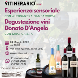 57777755-3d89-4a97-9f1a-650b20588057