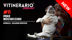 copertine youtube (5)