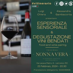 50054612-d353-4723-b415-c672f6f89985