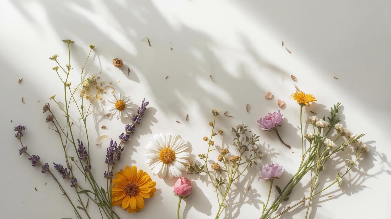elementi floreali di lavanda, calendula, iperico, camomilla, rosa mosqueta, timo, rosmarino, monoi, jojoba, argan.jpeg